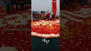 mahoni mata status