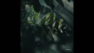 Circuit V - Earth Spirit