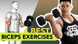 4 bài tập cơ tay trước (chuột) | BICEPS WORKOUT