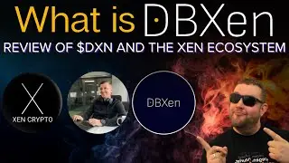 DBXen: Burn Xen For The Future of DeFi? | DeFi Innovation in the XEN Ecosystem ($DXN)