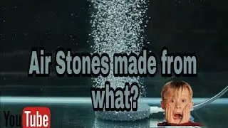 Air Stones: what they are made from will surprise you