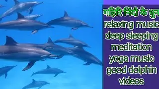 Relaxing soft music||relaxing music with beautiful dolphin video||deep sleeping music||गहिरि निंद..