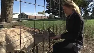 Rendez Vous with Ray Episode 3 // Vesperman Farm