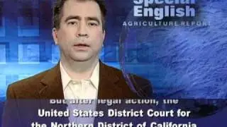 US Lets Farmers Plant Biotech Sugar Beets, With Conditions