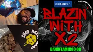 What Do Dank Flamingo OG 🦩, 818 OG 💨 & LA Pop Rocks 🍬 Have in Common? | Shop Hello Mary Unboxing 📦