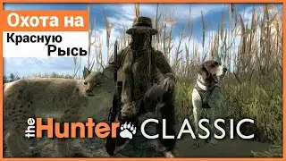 Охота на Красную Рысь в theHunter: Classic