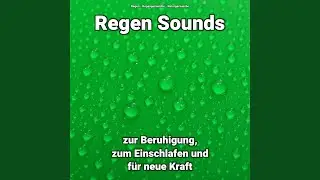 Nat&uuml;rliche Bilder