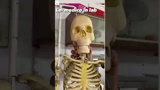 Le medico in lad🥰🥰🌹🌹🌹🌹🌹🌹🌹🌹🌹🌹🌹🌹🌹🌹🌹🌹🌹🌹🌹🌹🌹🌹🌹🌹🌹🌹🌹🌹🌹🌹🌹🌹🌹🌹