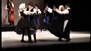 Akademska folklorna skupina Študent - Cirkovški ploharji