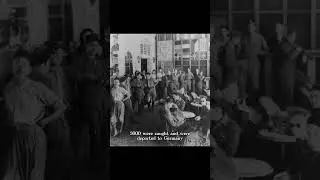 French WWII Choices: Allies vs. Axis 🇫🇷🌍 Exploring wartime narratives#shorts #history #facts