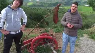 LA PASTORIZIA E L'AMBIENTE IN CALABRIA MAESTRO ALFREDO GALZARANO