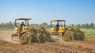 Clearing Operation Beside a Rural Waterway | Earthmoving Machine Removing Overgrown Vegetation