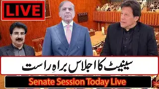 PTI VS OPPOSITION Heated debate | Pakistan's Senate Session Today | PTI's Haqiqi Azadi March