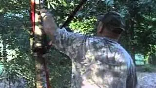 The E-Z Lift Game Hoist Can Attach To A Small Tree