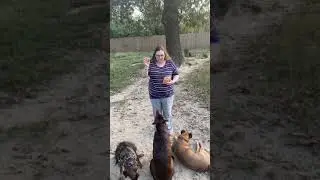 Dogs Try Puppy Popcorn! #Shorts
