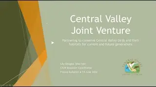 CVJV
