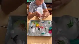 Frozen Dinosaur Defrost Ice Eggs Activity For Kids STEM