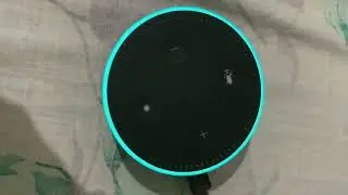 Amazon Alexa question comedy