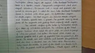 Brief description of tornaria larva and trochophore larva