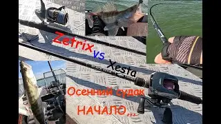 Осенний судак, НАЧАЛО... Xesta vs Zetrix в джиге.