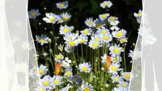 CARRYING YOU -  JOE HISAISHI