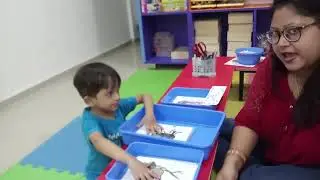 Sorting Activity for Kindergarten By Swar & Ms. Prachi