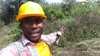 How to do Good Business With Maize (Is Maize, corn farming profitable?)