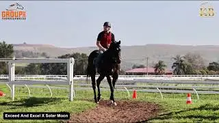 Exceed and Excel x Solar Moon Colt PT 18 09