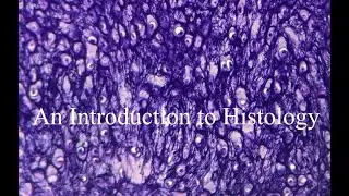 An Introduction to Histology, The Study of Microscopic Anatomy and Tissues