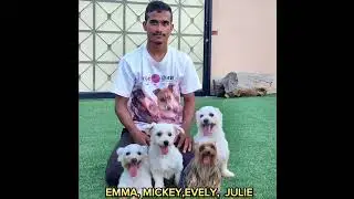 Emma, Mickey, Evelyn, and Julie are enjoying their playing time at the resort @PetsOasisArcadia
