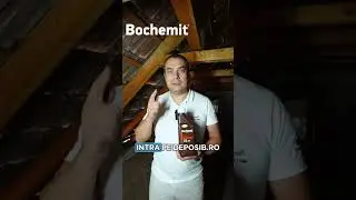 Carii de lemn? Bochemit Plus I este tratamentul de lemn de care ai nevoie!