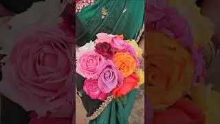 Roses harvesting #roses #flowers #mygarden #gardening #shorts #viralvideo