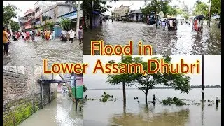 Flood in Lower Assam,Dhubri  || Assam Flood || Dhubri Flood || 2019 Flood