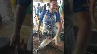 Amazing😱😱😱 Negombo professional fish cutter #trending #viralvideo #negombo
