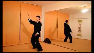 Chen Tai Chi - LaoWuShi
