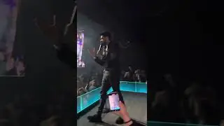 Medi live 2024