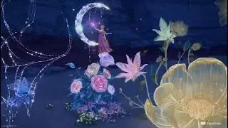 Infinity Nikki Crazy Co-op