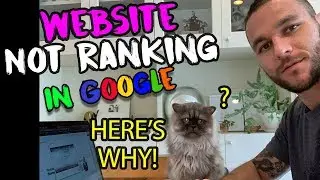 Website Is Not Ranking In Google? Here's Why!