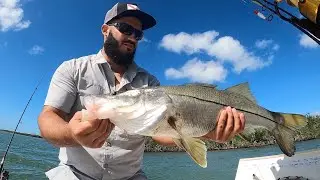 Snook Fishing Florida Keys Back country Inshore with Artificial Bait