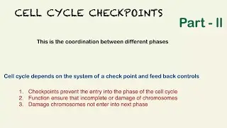 G1, G2 & Spindle Checkpoint &ndash; Cell Cycle Control Made Simple | Hindi