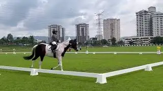 PREMIER CUP 2024 DAY 2 RIDING CONSTANTINE