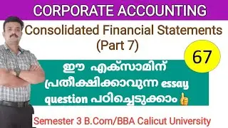 Consolidated Balance sheet Preparation/ Essay Question