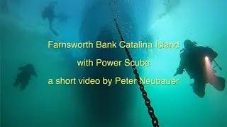 Farnsworth Bank - Catalina Island; California a Scuba Adventure with Power Scuba San Diego