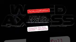 Real Access to Nebraska Sports | Subscribe to Wired Axcess for Full Stories & Highlights