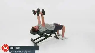 Exercises - Dumbbell Tricep Extension Supine Bilateral