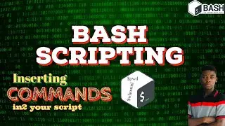 AUTOMATING Commands in your bash script ( whoami.bash )