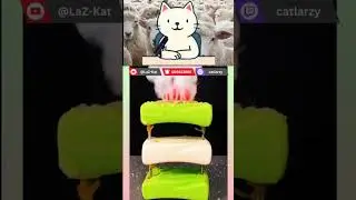 IF I SAY WOW I LOSE 10$ || satisfying videos reaction #challenge #satisfying