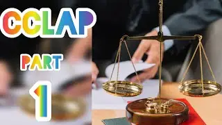 Civil,commercial,labour and administrative procedure(CCLAP)- explained easily(1)