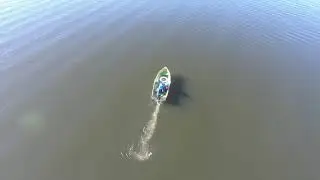 DJI Phantom 4  