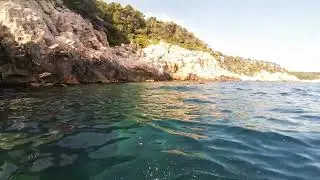 pêche sous marine avec constamment un son trés aigu pendant plus de 3 heures, des baleines ?